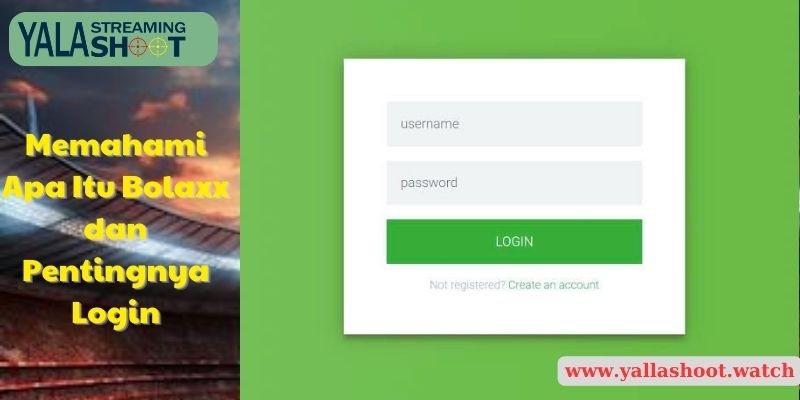 Memahami Apa Itu Bolaxx dan Pentingnya Login